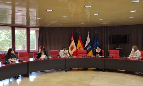 Imagen de Cabildo y ayuntamientos de la isla unifican criterios de actuación en materia de política social